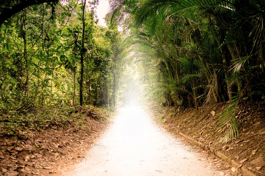 Centro Espírita Caminho da Luz